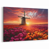 Sunset Tulip Field Wall Art – Colorful Tulips with Windmill Canvas Prints
