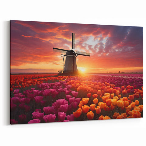 Sunset Tulip Field Wall Art – Colorful Tulips with Windmill Canvas Prints