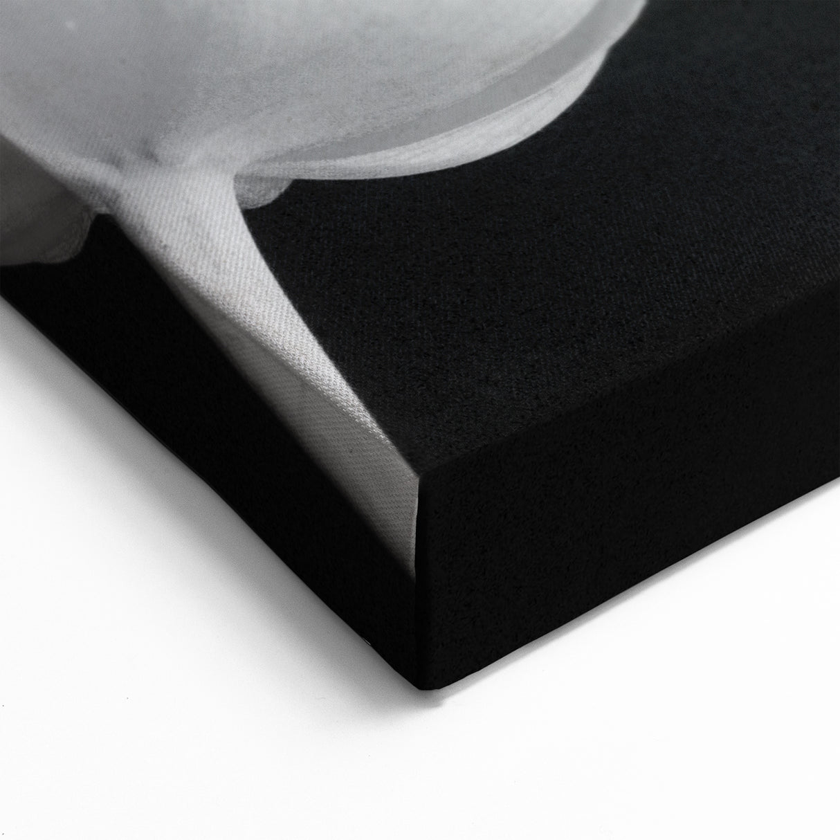 Elegant Black and White Tulip Wall Art | Tulip Canvas Prints for Modern Decor