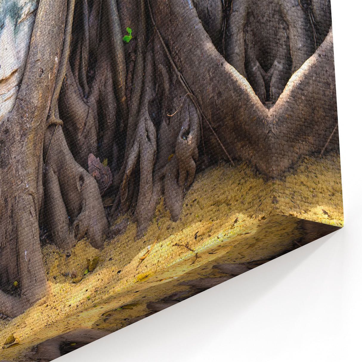 Laos Art Photography – Buddha Head in Tree Roots, Spiritual Wall Art
