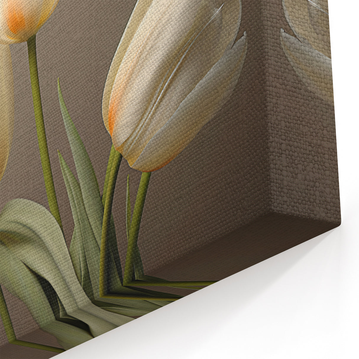 Delicate Tulip Wall Art | Framed Canvas & Acrylic Glass Prints