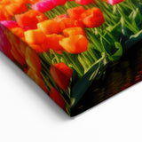 Colorful Dutch Tulip Field Wall Art | Framed Canvas & Acrylic Prints