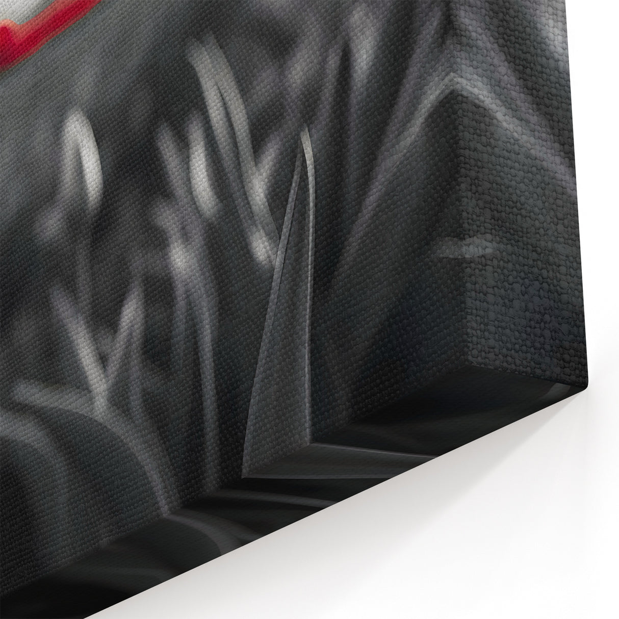 Dramatic Red Tulip Wall Art | Framed Canvas & Acrylic Prints for Home