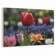 Vibrant Tulip Canvas Prints – Modern Tulip Wall Art for Home Decor