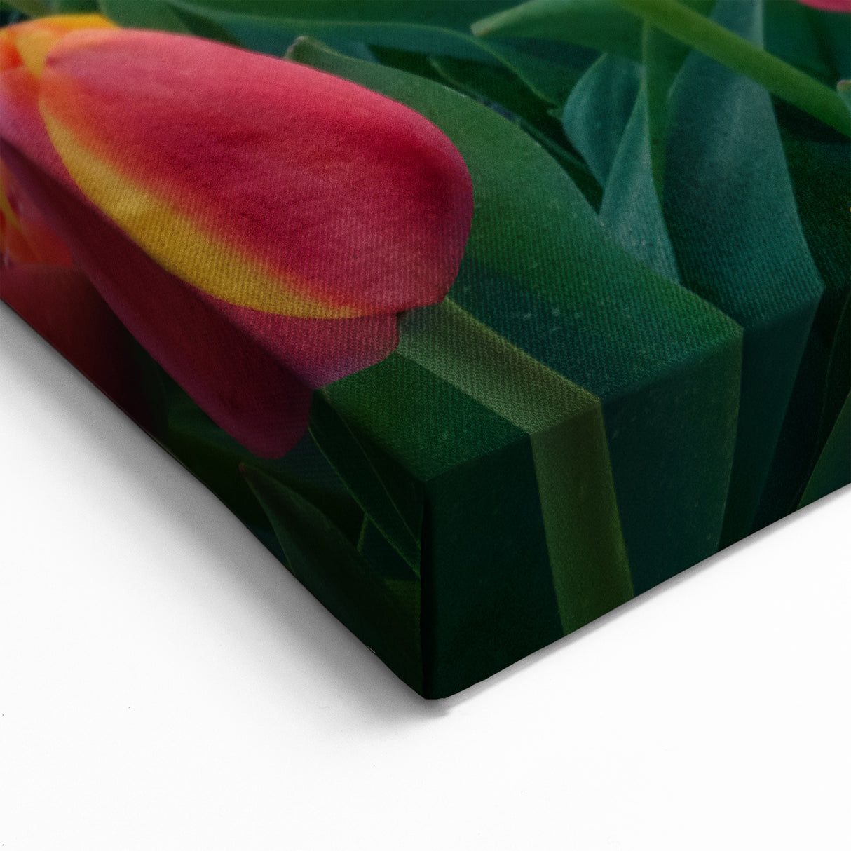 Sunset Tulip Field – Vibrant Tulip Wall Art for Modern Home Decor