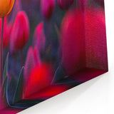 Golden Tulip in Red Field – Modern Tulip Wall Art for Home Decor