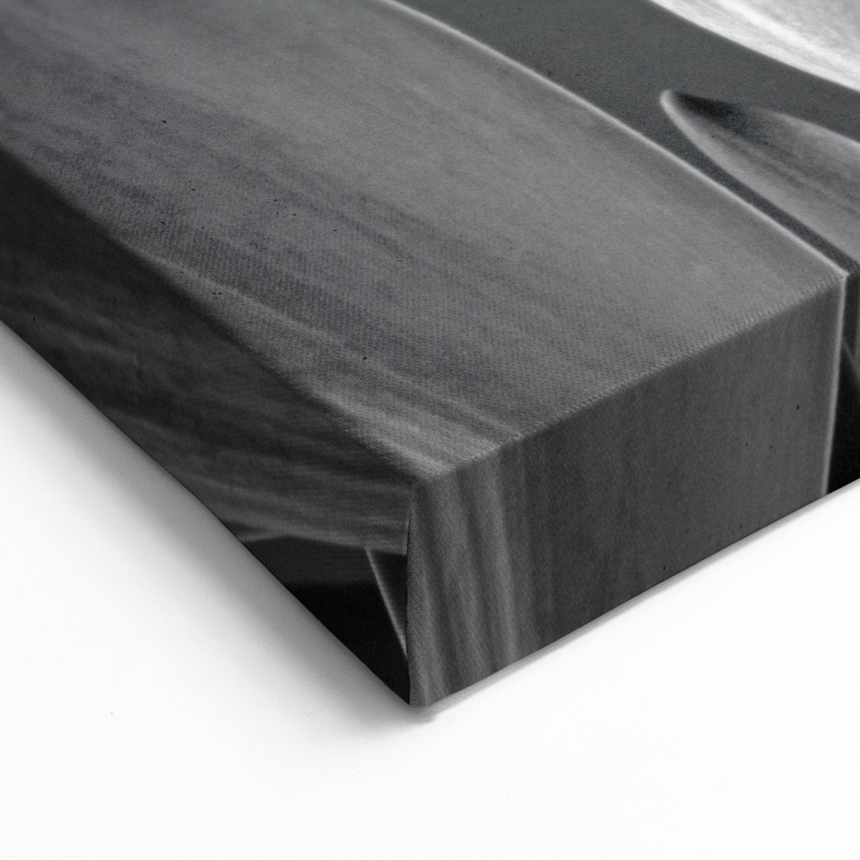 Monochrome Tulip Art – Elegant Black & White Tulip Wall Decor