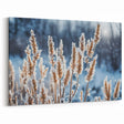 Frost-Covered Plants in Winter Sun | Nature Close-Up Wall Art Photography