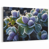 Frost-Covered Purple Buds | Nature Close-Up Winter Wall Art Photography