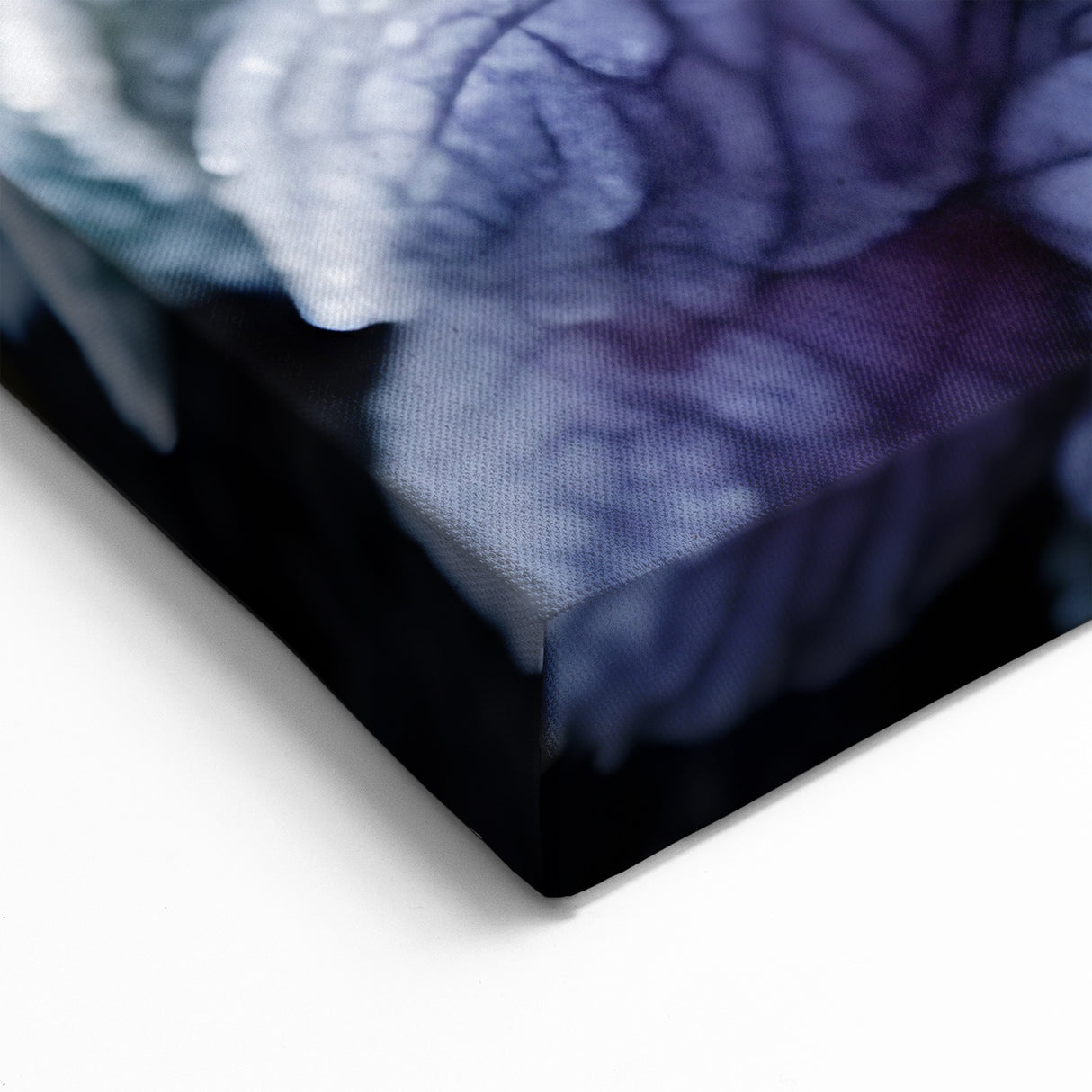 Frost-Covered Purple Buds | Nature Close-Up Winter Wall Art Photography