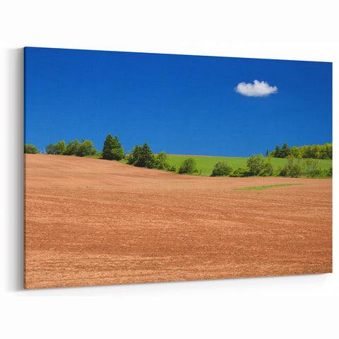 Rolling Fields of Prince Edward Island - Canadian Countryside Art Print