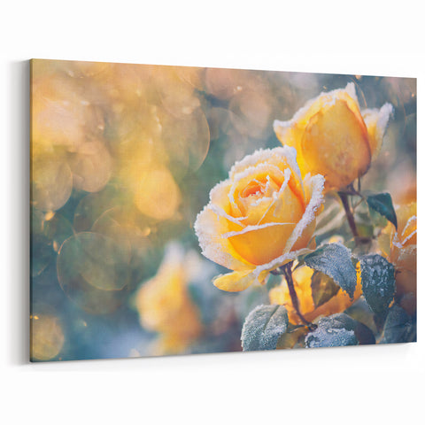 Winter Frost on Yellow Roses – Frozen Nature Close Up Wall Art
