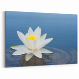 Elegant Water Lily Canvas Print - Beautiful Floral & Botanical Wall Art