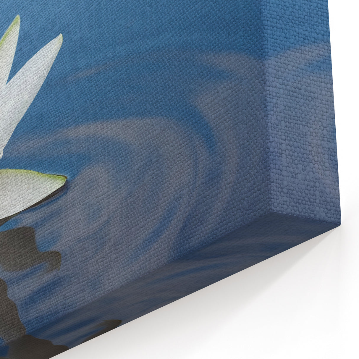 Elegant Water Lily Canvas Print - Beautiful Floral & Botanical Wall Art