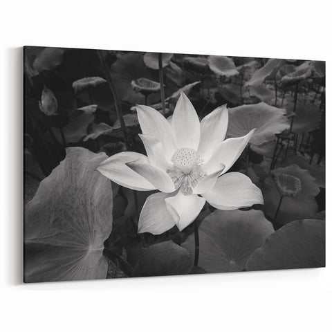 Monochrome Water Lily Wall Art - Black and White Floral Canvas Print