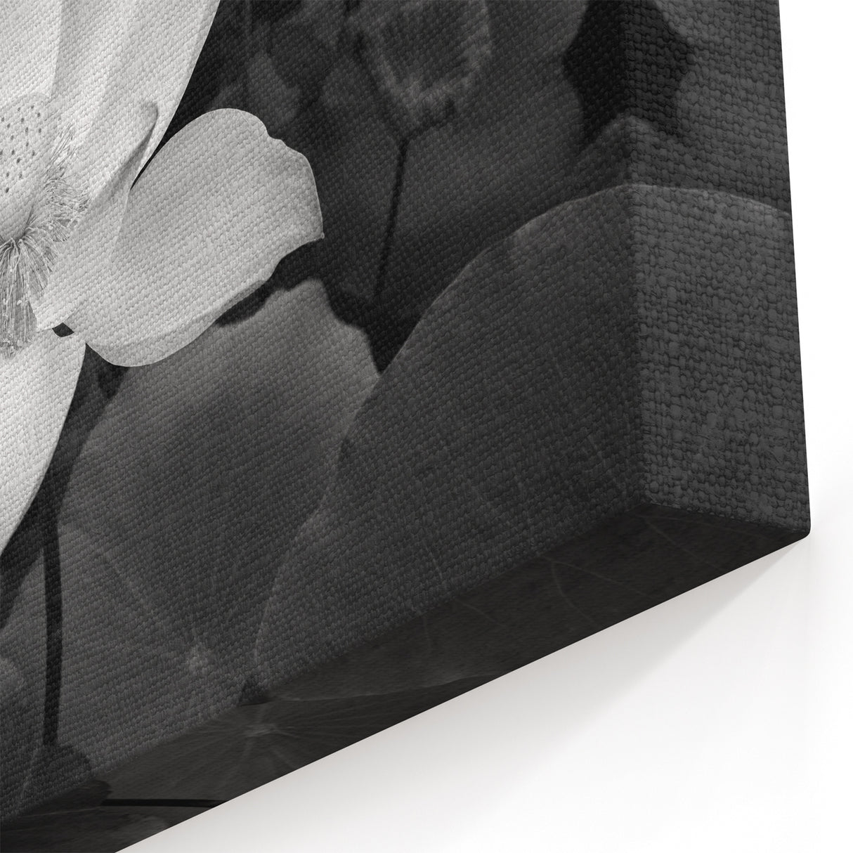 Monochrome Water Lily Wall Art - Black and White Floral Canvas Print