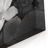 Monochrome Water Lily Wall Art - Black and White Floral Canvas Print