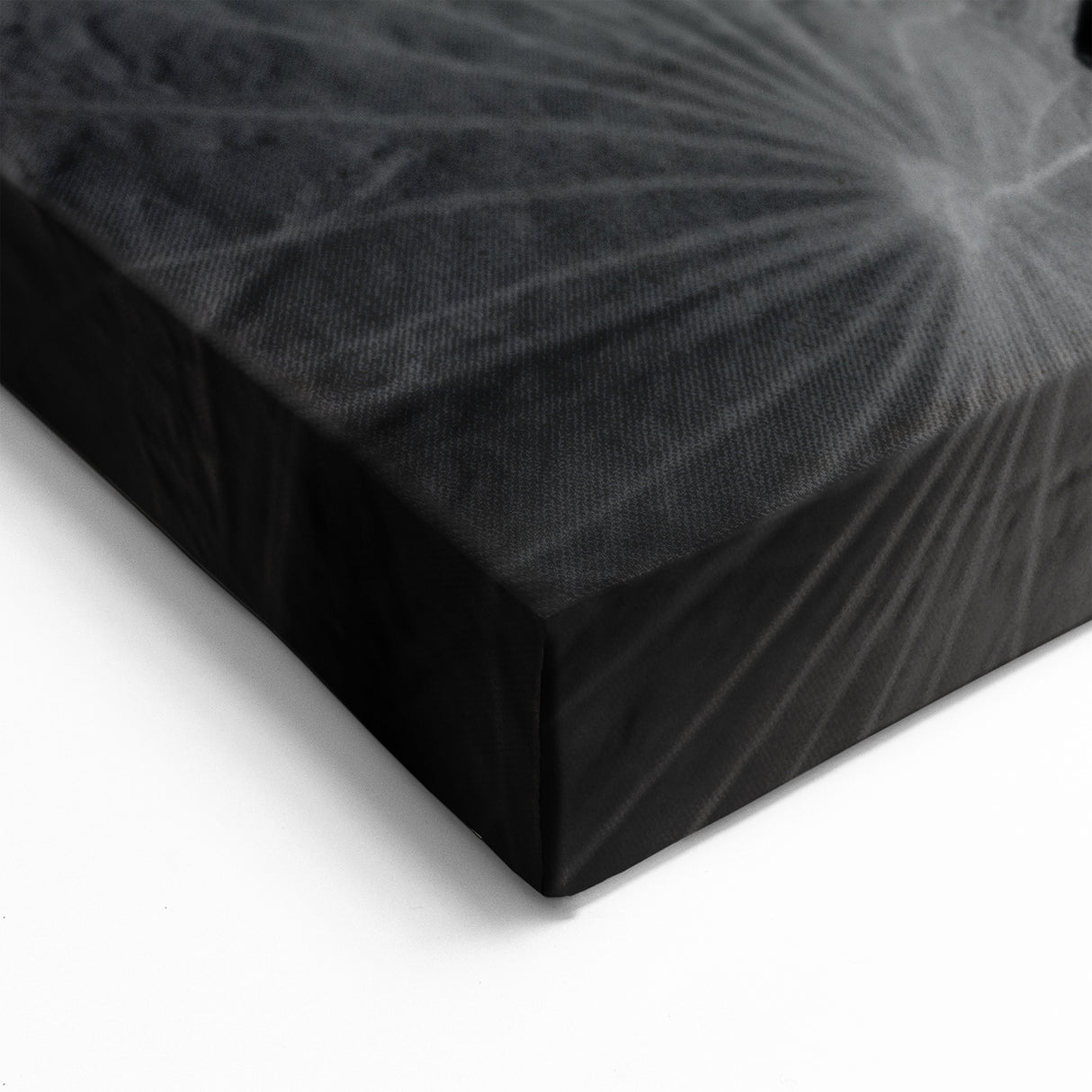 Monochrome Water Lily Wall Art - Black and White Floral Canvas Print