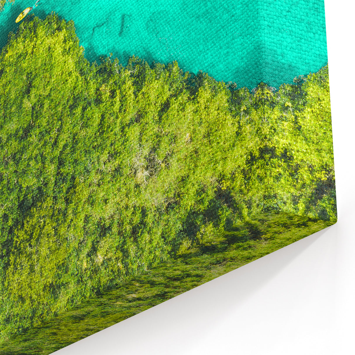 Quintana Roo Wall Art – Jungle River Canvas with Kayaking Adventure