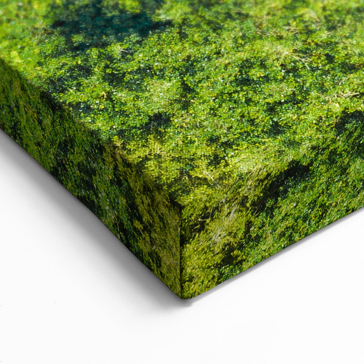 Quintana Roo Wall Art – Jungle River Canvas with Kayaking Adventure