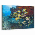 Quintana Roo Wall Art – Underwater Reef Canvas with Tropical Fish