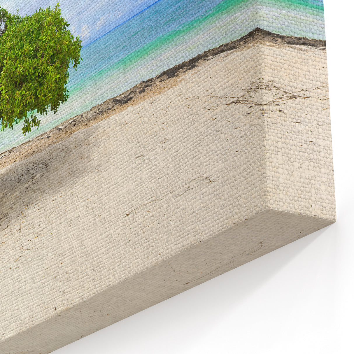 Aruba Wall Art – Scenic Aruba Canvas of Unique Beach Trees and Sea Views