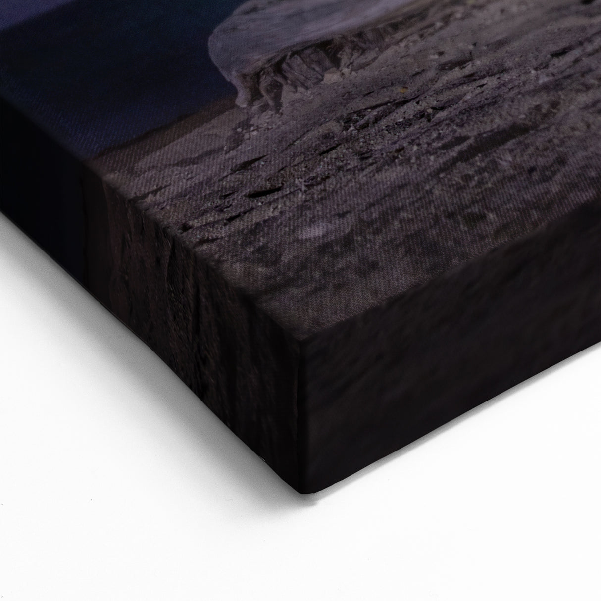 Aruba Coastal Decor – Twisted Tree at Dusk on Scenic Caribbean Beach