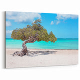 Beach Paradise Prints – Vibrant Aruba Wall Art with Twisted Tree and Sea