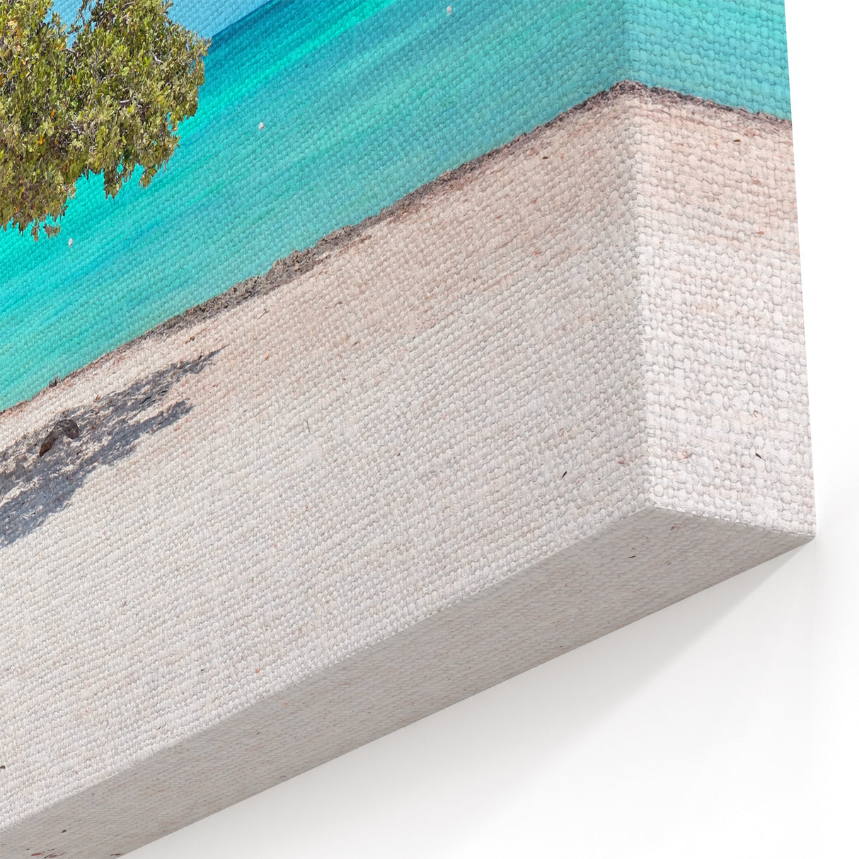 Beach Paradise Prints – Vibrant Aruba Wall Art with Twisted Tree and Sea