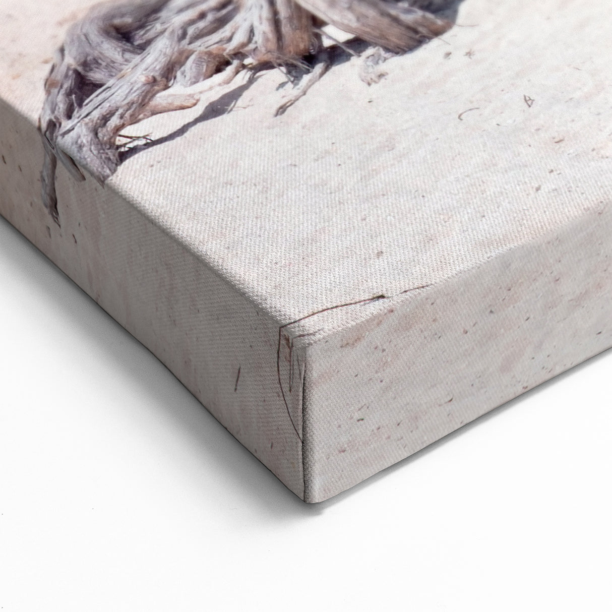 Beach Paradise Prints – Vibrant Aruba Wall Art with Twisted Tree and Sea