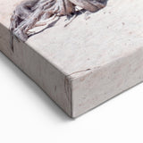 Beach Paradise Prints – Vibrant Aruba Wall Art with Twisted Tree and Sea