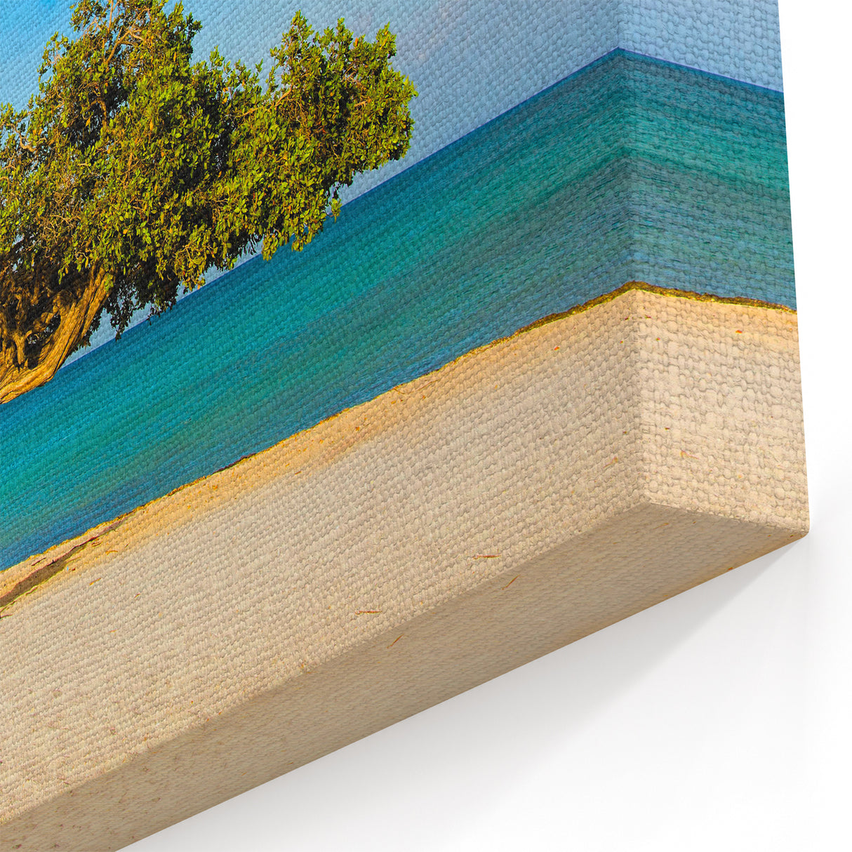 Tropical Island Prints – Aruba Beach with Divi-Divi Trees and Blue Waters