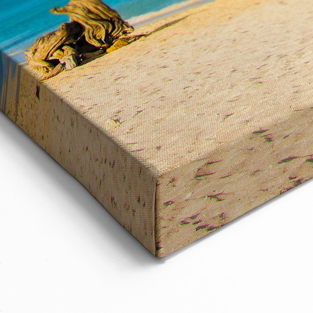 Tropical Island Prints – Aruba Beach with Divi-Divi Trees and Blue Waters