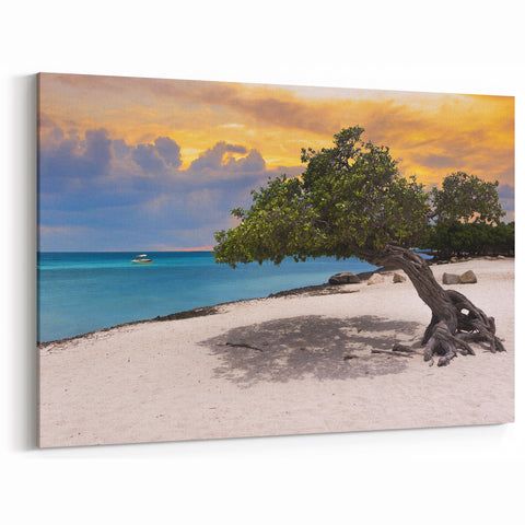 Beach Paradise Prints – Aruba Tree at Sunset with Ocean and Boat View
