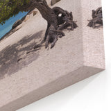 Beach Paradise Prints – Aruba Tree at Sunset with Ocean and Boat View