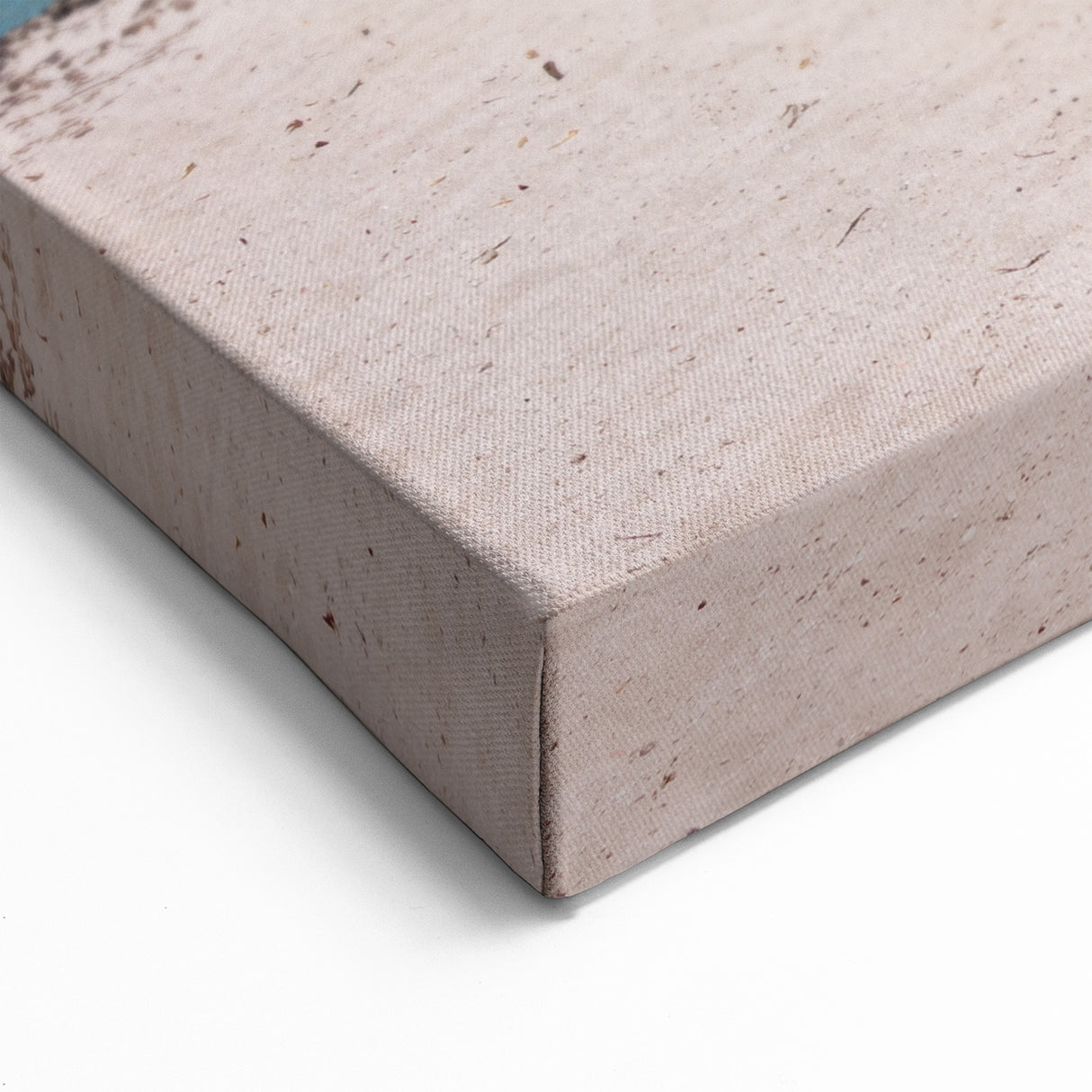 Beach Paradise Prints – Aruba Tree at Sunset with Ocean and Boat View