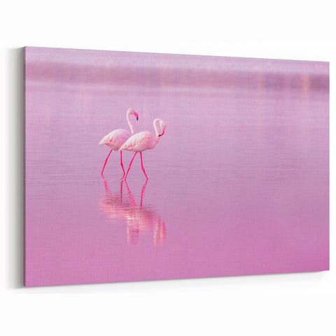 Tropical Island Prints – Flamingos Walking in Pink Reflection on Aruba Coast