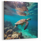 Aruba Wall Art – Sea Turtle Swimming in Clear Blue Waters Over Coral Reefs
