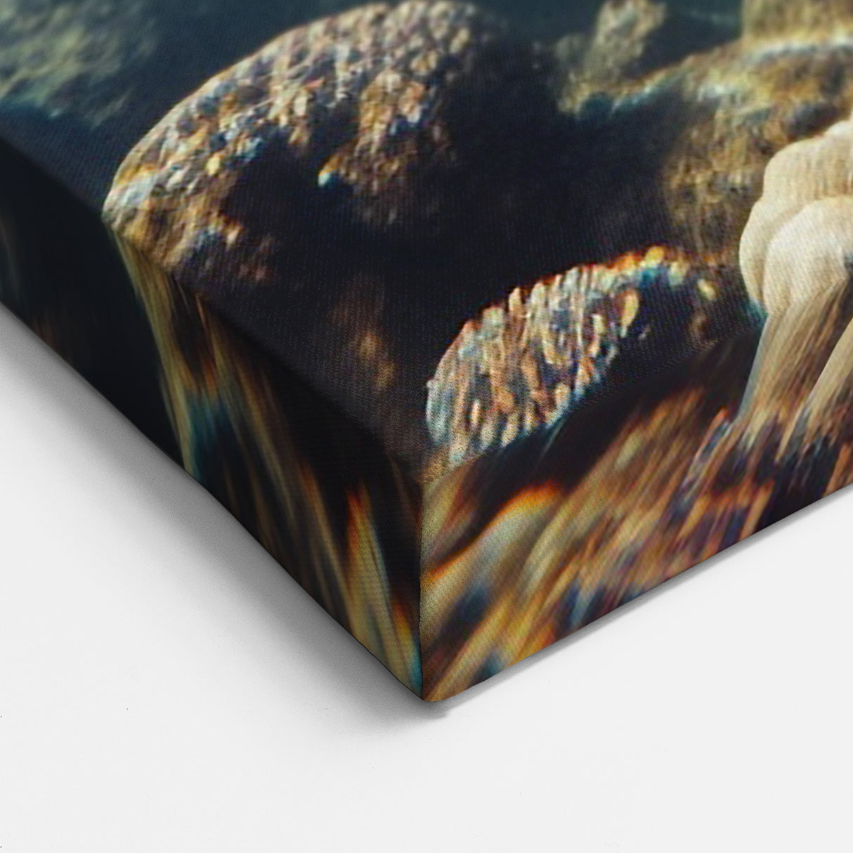 Aruba Wall Art – Sea Turtle Swimming in Clear Blue Waters Over Coral Reefs