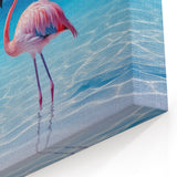 Beach Paradise Prints – Flamingo in Shallow Turquoise Water on Aruba Coast