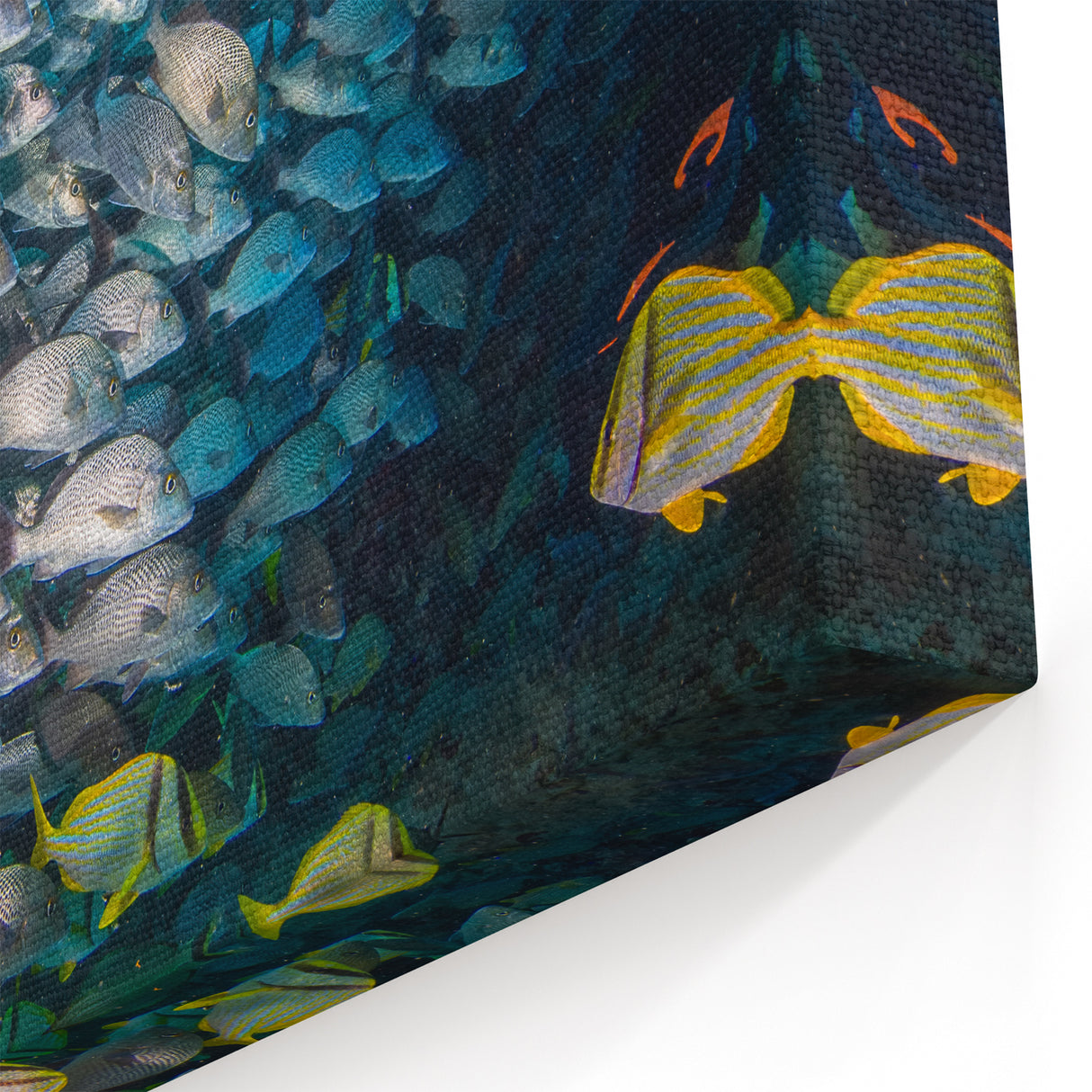 Quintana Roo Wall Art – Vibrant Fish School Canvas with Coral Reef