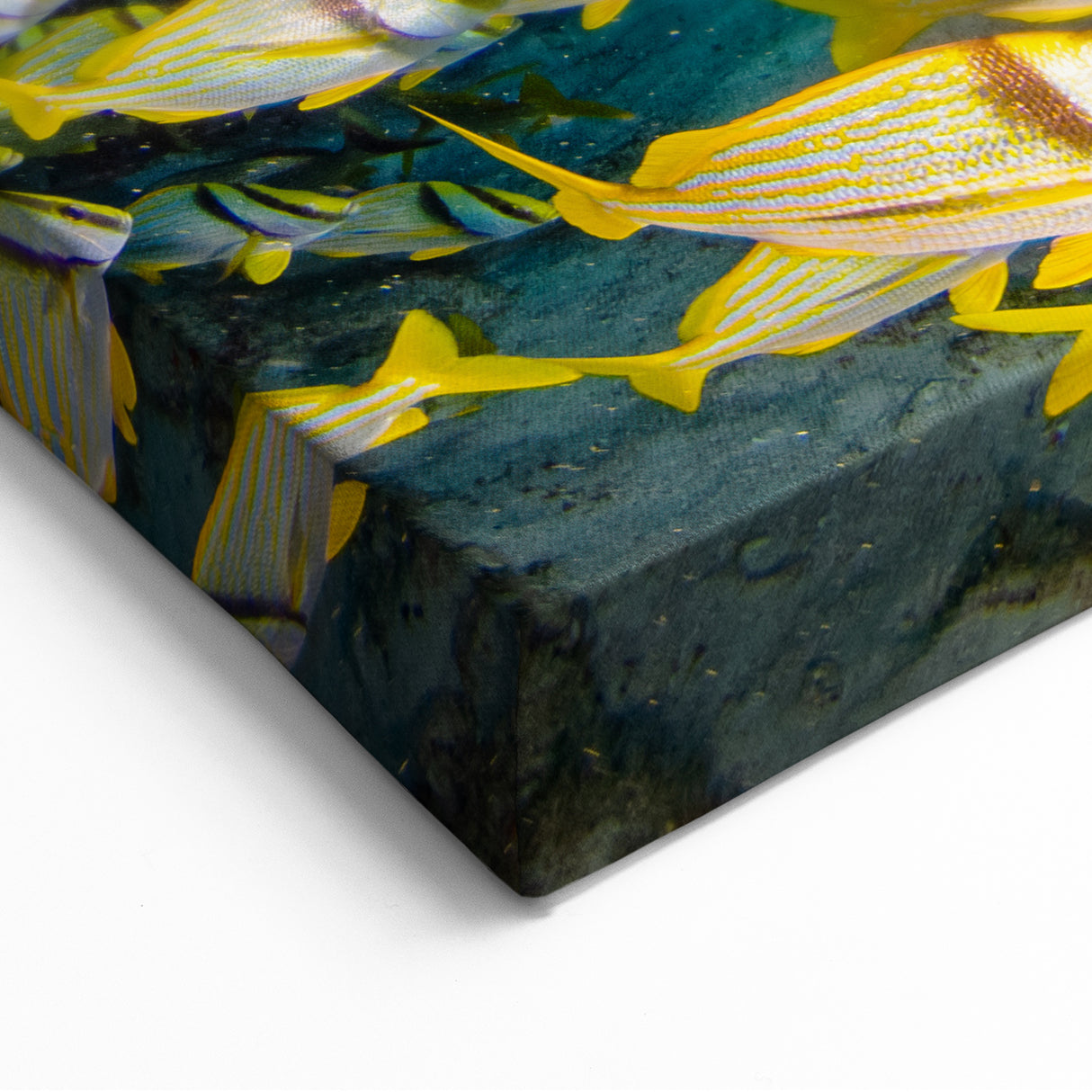Quintana Roo Wall Art – Vibrant Fish School Canvas with Coral Reef