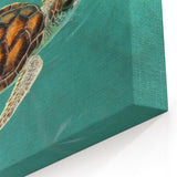 Quintana Roo Wall Art – Sea Turtle Canvas with Tropical Lagoon Scene