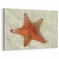 Quintana Roo Wall Art – Tulum Beach Starfish in Mexico Scenery Prints