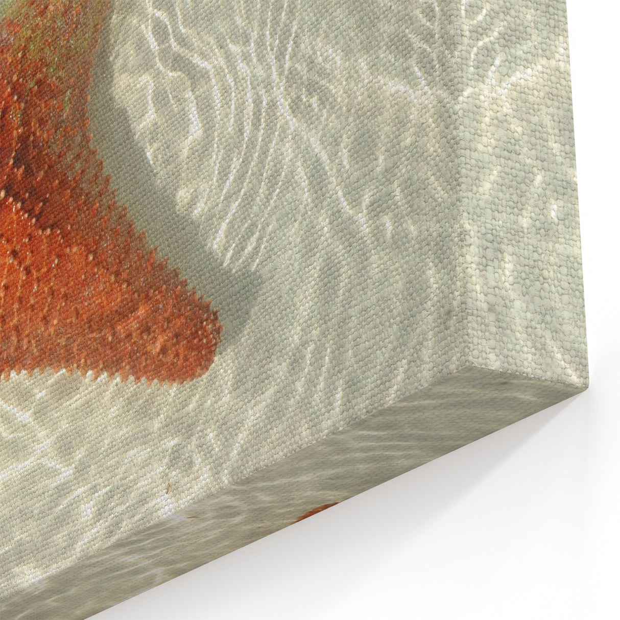 Quintana Roo Wall Art – Tulum Beach Starfish in Mexico Scenery Prints