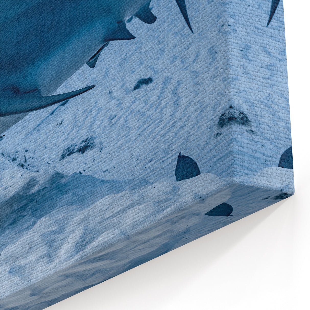 Quintana Roo Wall Art – Mexico Scenery Prints Featuring Bull Shark