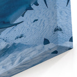 Quintana Roo Wall Art – Mexico Scenery Prints Featuring Bull Shark