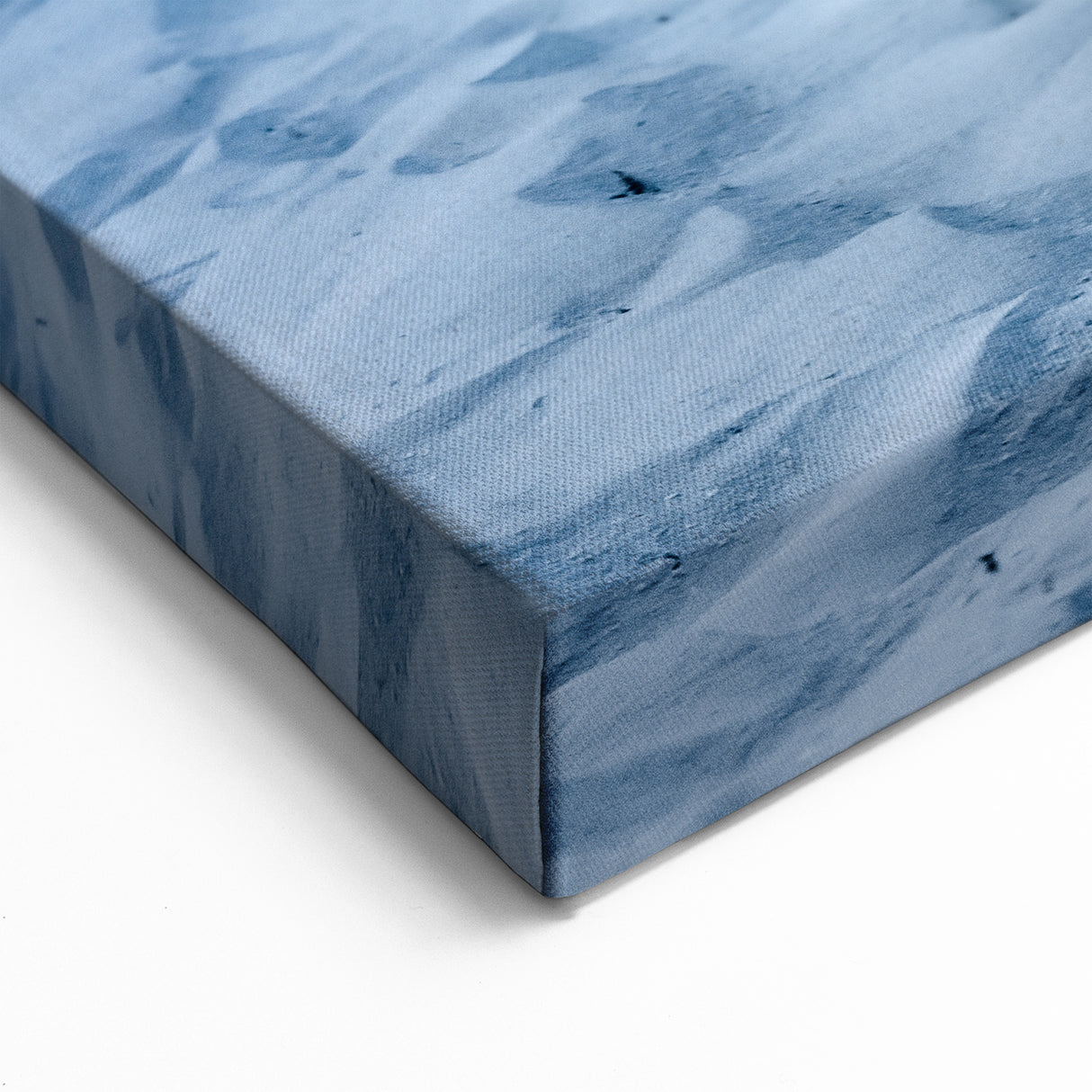 Quintana Roo Wall Art – Mexico Scenery Prints Featuring Bull Shark