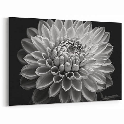 Stunning Black and White Dahlia Canvas | Botanical Flower Art Print