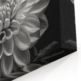 Stunning Black and White Dahlia Canvas | Botanical Flower Art Print